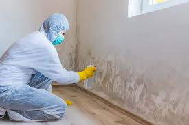 Best Forensic Mold Investigation  in Bayside, WI